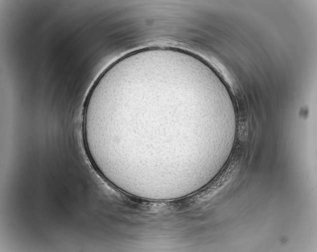 X0000103450903200810031433