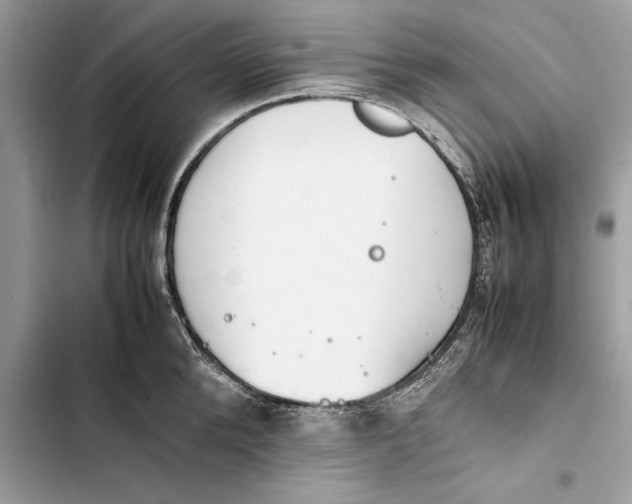 X0000103450904200810031433