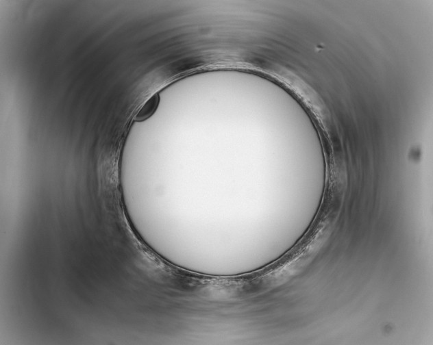 X0000103450905200810031433