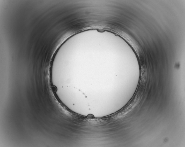 X0000103450906200810031433