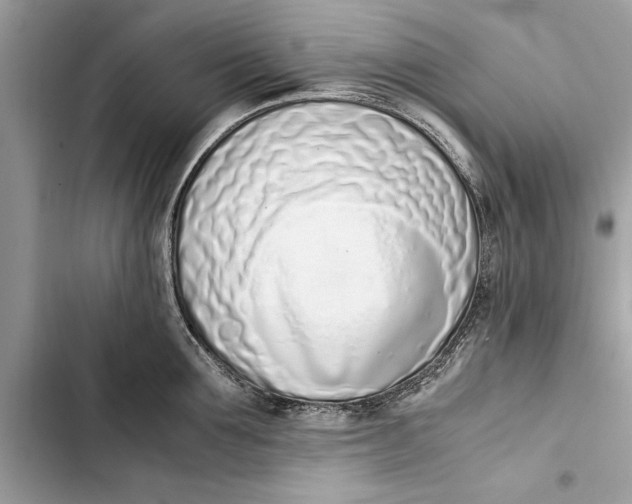 X0000103450907200810031433