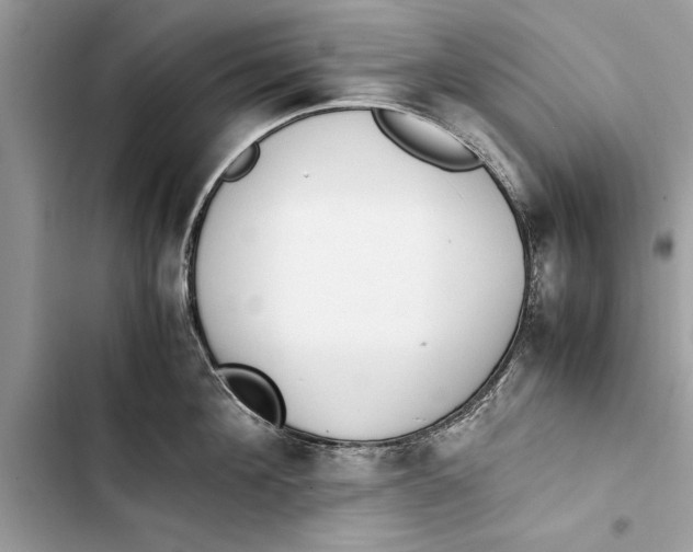 X0000103450908200810031433