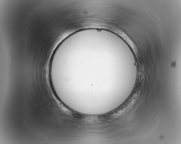 X0000103450909200810031433