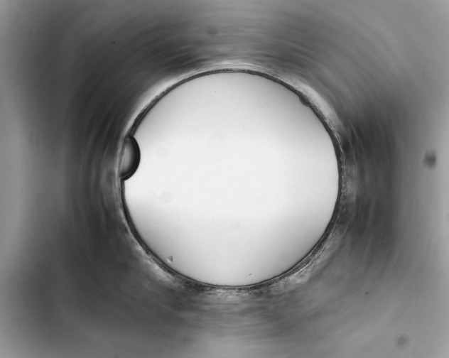 X0000103450910200810031433