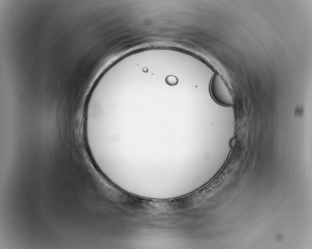 X0000103450911200810031433