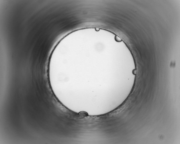 X0000103450912200810031432