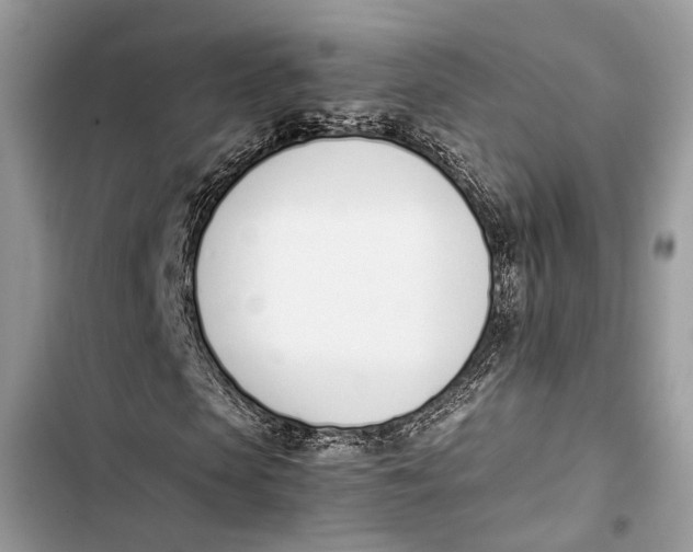 X0000103450913200810031432