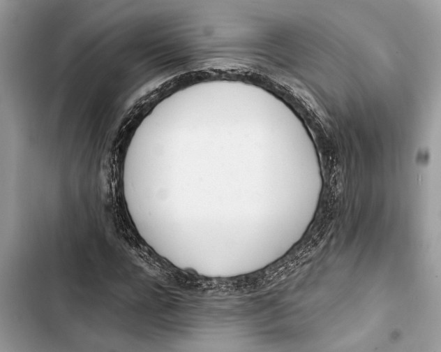 X0000103450920200810031432