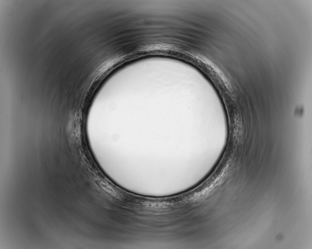 X0000103450921200810031432