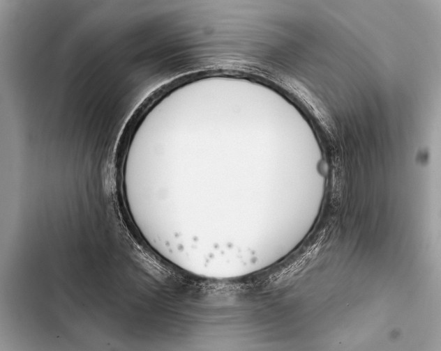 X0000103450924200810031432