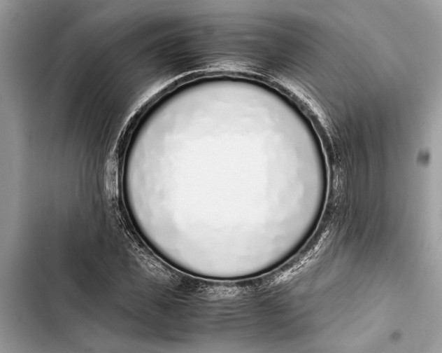 X0000103450925200810031432