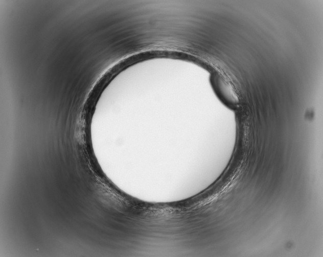 X0000103450926200810031432