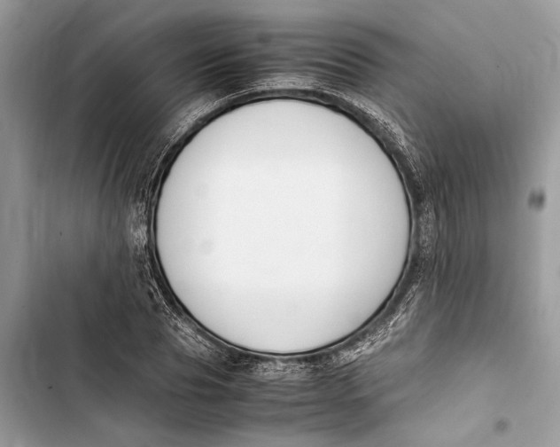 X0000103450929200810031432