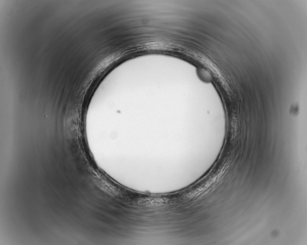 X0000103450930200810031432