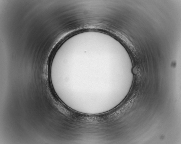 X0000103450934200810031432