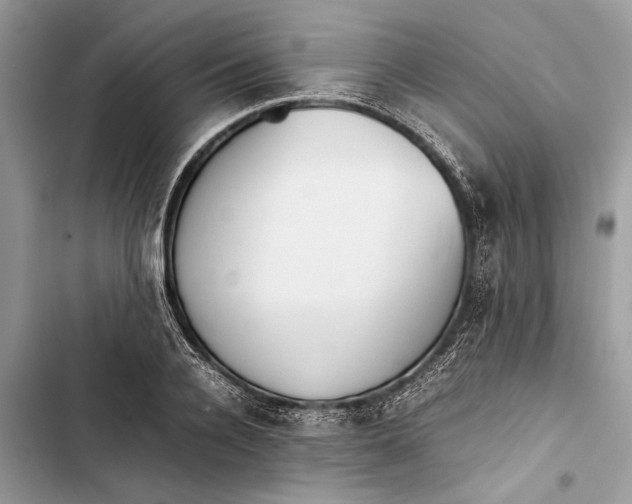 X0000103450936200810031432