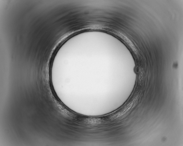 X0000103450939200810031432