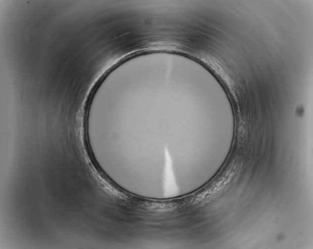 X0000103450941200810031432