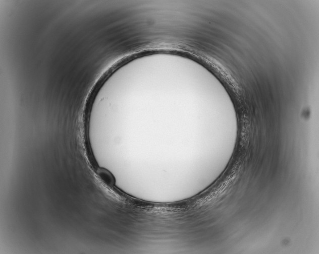 X0000103450942200810031432