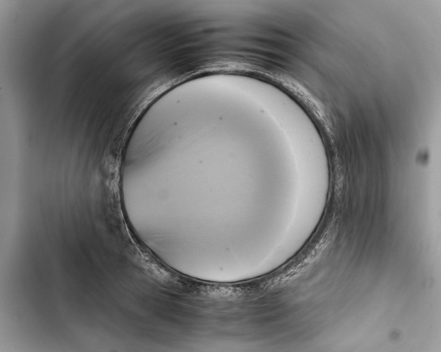 X0000103450945200810031432