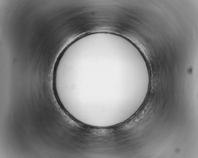 X0000103450949200810031432