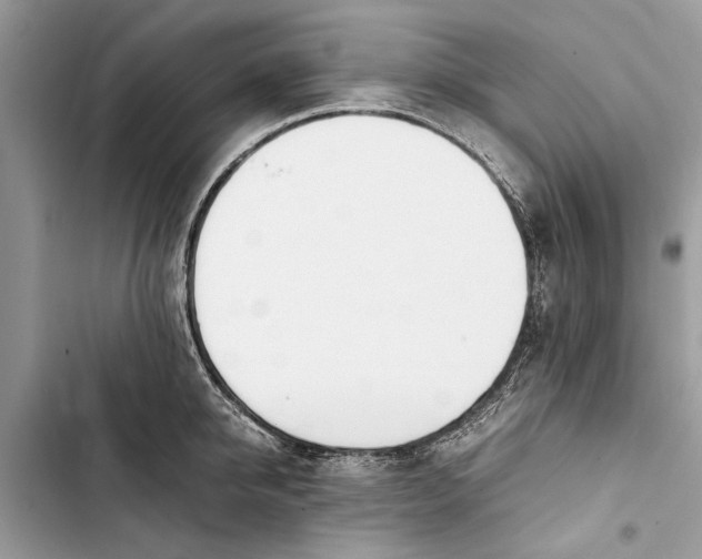 X0000103450950200810031432