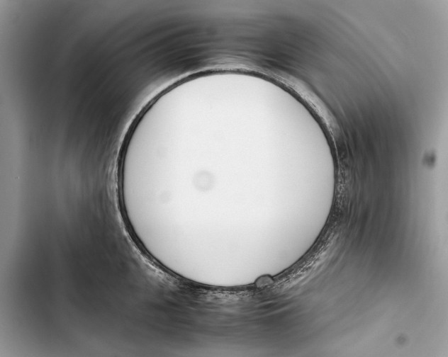 X0000103450951200810031432