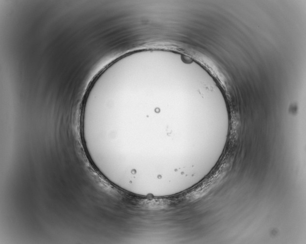 X0000103450952200810031432