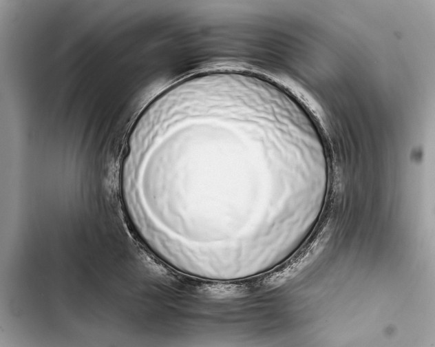 X0000103450953200810031432