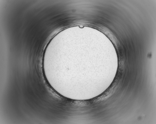 X0000103450954200810031432