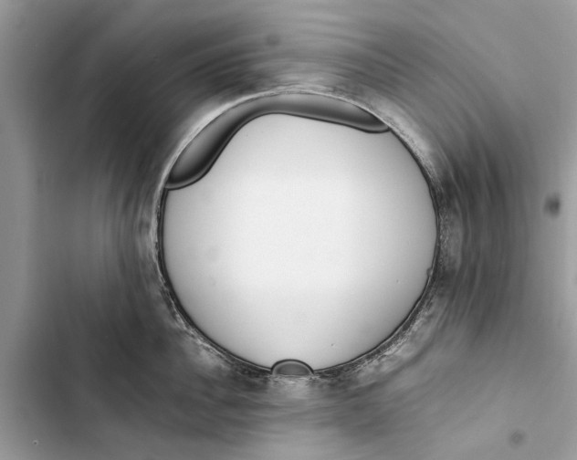 X0000103450956200810031432