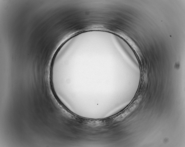 X0000103450957200810031432