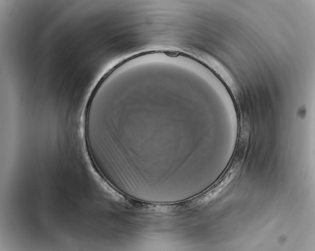 X0000103450958200810031432