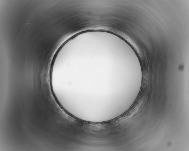 X0000103450959200810031432