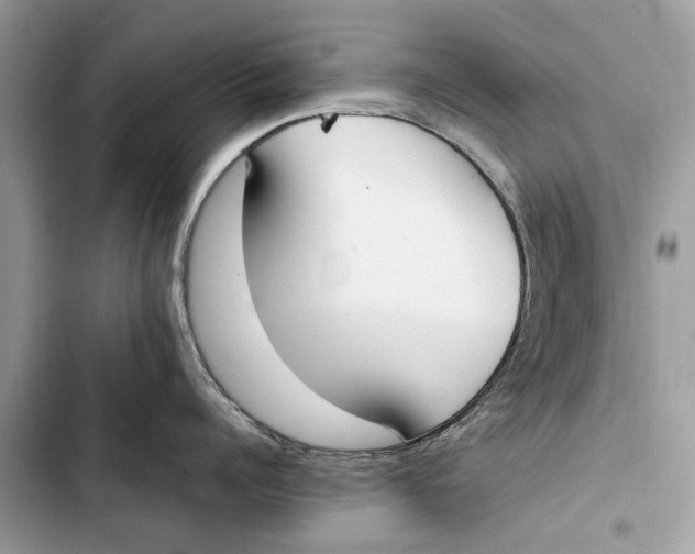 X0000103450960200810031432