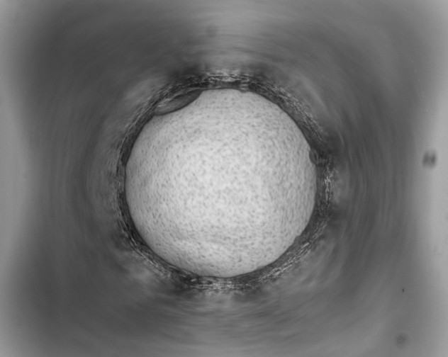 X0000103450961200810031432