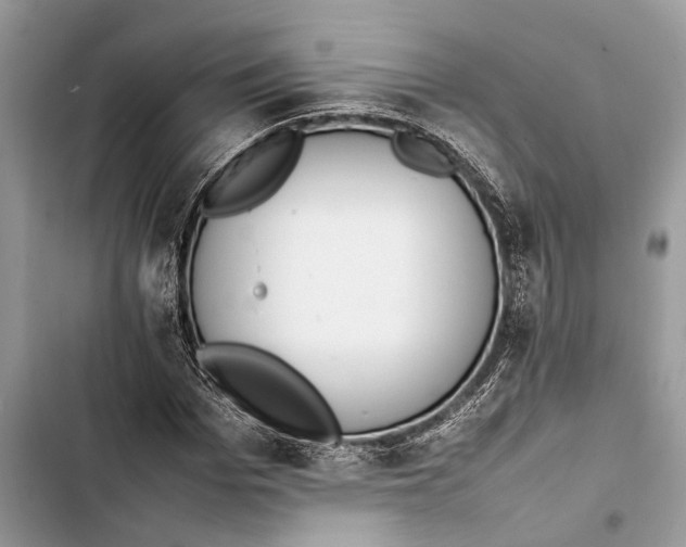 X0000103450969200810031432