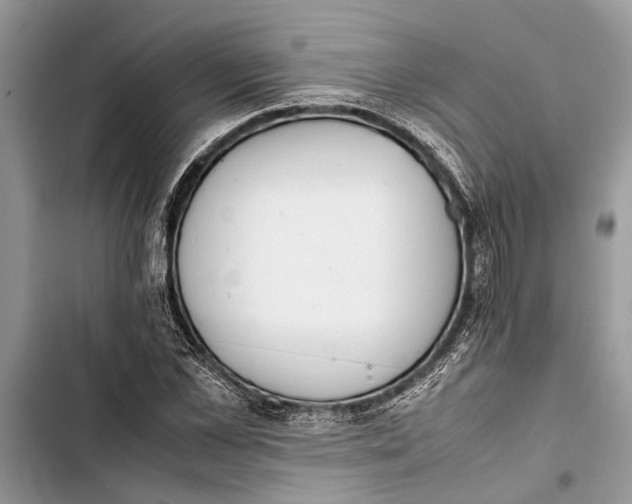 X0000103450973200810031432