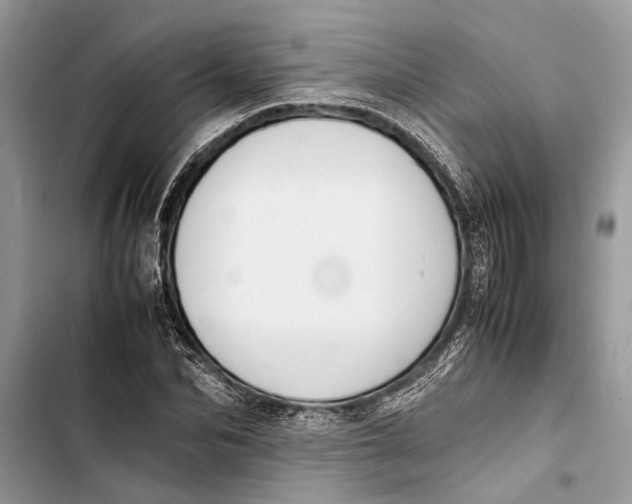 X0000103450974200810031432