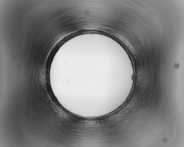 X0000103450976200810031432