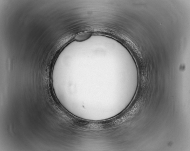 X0000103450977200810031432