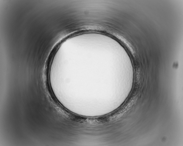 X0000103450983200810031431