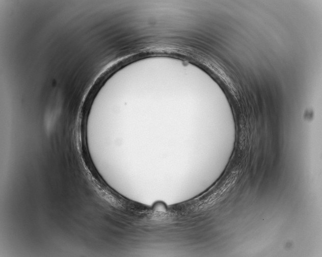 X0000103450984200810031431