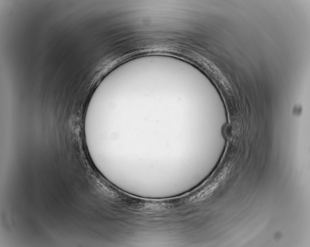 X0000103450985200810031431