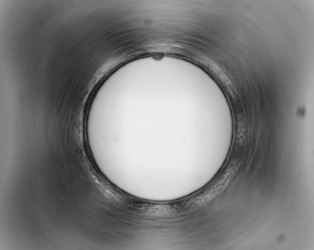 X0000103450986200810031431