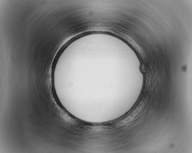 X0000103450988200810031431