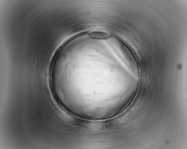 X0000103450989200810031431