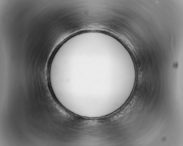 X0000103450990200810031431