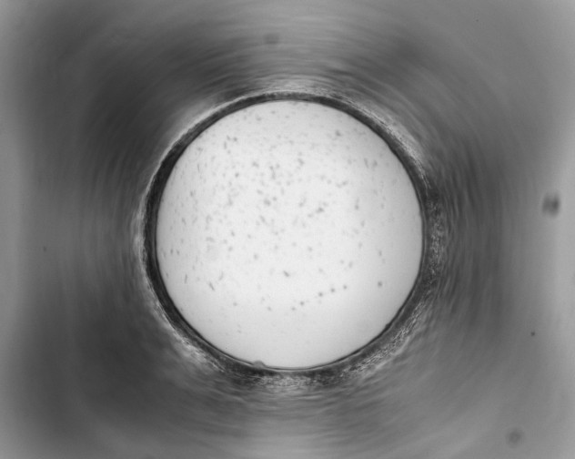 X0000103450991200810031431