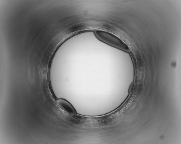 X0000103450993200810031431